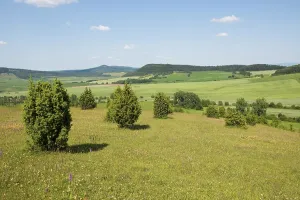 Juniper pastures, Wiesenthaler Schweiz nature reserve