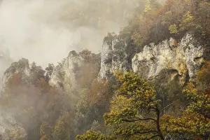 Jurassic limestone cliffs with autumnal trees and clouds of fog