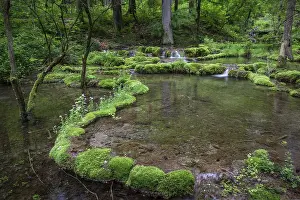 Kaisinger Brunnenbach, stream, Greding
