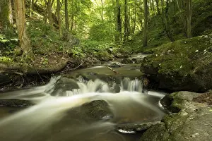 Kajabach stream, Thaya Valley National Park