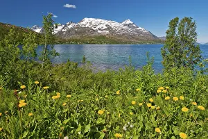 Kaldfjord, Troms Province, Northern Norway, Norway