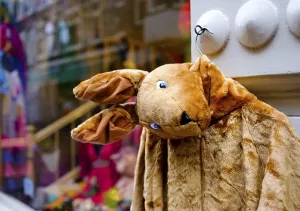 Kangaroo Jacket made of Plush, hanging in front of shop windows