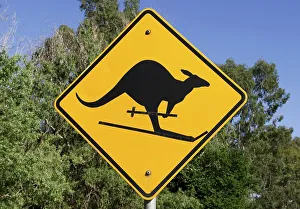 Kangaroo on skis, traffic sign