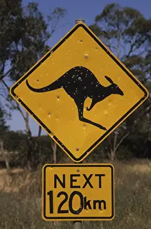 Kangaroo warning sign, Australia, Oceania