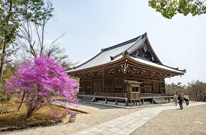 Kannondo of Ninna-ji Temple, purple blooming bush in spring