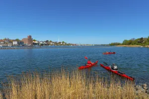 Kappeln, town view, landscape fishing