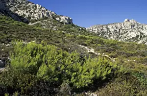 Karst landscape at the calanque coast