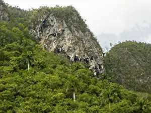 Karst mountain in the Vinales Valley