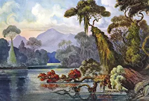 The Kelani River is a 145 km (90 mi) long river in Sri Lanka