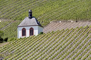 Kesselstatt Chapel in the vineyards near Krov