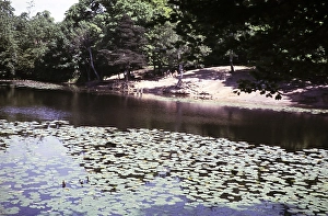 Keston Ponds lake, Bromley, Kent, England, UK September 1959
