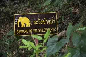 Khao Sok National Park, Phang Nga