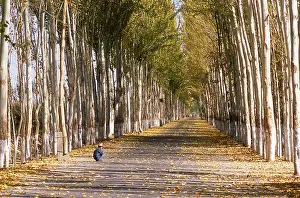 Khotan traces its history back at least as far as the 3rd century BCE