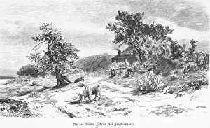 Kiel Fjord near Kiel, district Friedrichsort
