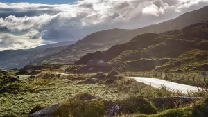 Killarney National Park, hilly landscape in the morning mist