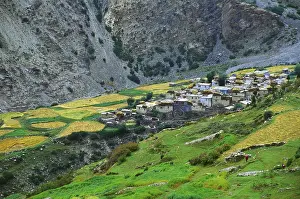 Kinnaur, Kailash Trek, Himachal Pradesh, India