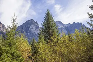 Kirchdachspitze mountain and forest in autumn