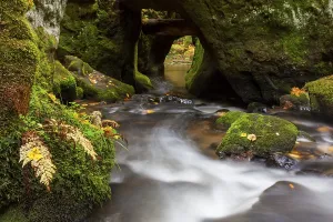 Kirnitzsch, Kirnischt, tributary of the Elbe flowing through the Khaatal