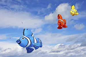 Kite festival, international kite festival