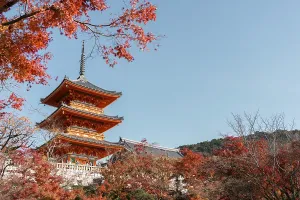 Kiyomizu-dera Temple and autumn maple in Kyoto