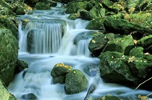 Kleine Ohe, Bavarian Forest, Bavaria