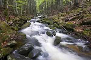 Kleine Ohe, Bavarian Forest National Park