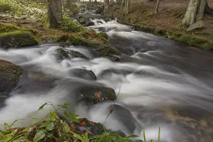 Kleine Ohe creek below Waldhaeuser village in the Bavarian Forest Nationalpark