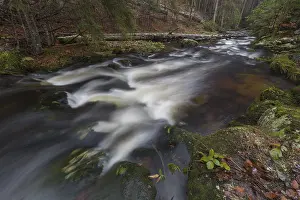 Kleine Ohe creek below Waldhaeuser village in the Bavarian Forest Nationalpark