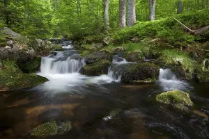 Kleine Ohe river, at Mt Lusen, Bavarian Forest