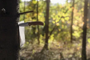Knife piercing a bunch of empty book pages and fixing them to a tree trunk