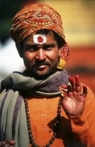They are known, variously, as sadhus (saints)