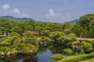 Koi swimming in pond at beautifully manicured park with electrical towers on mountain top in background in South Korea