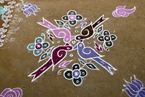 Kolam or rangoli during Pongal festival in Tamil Nadu