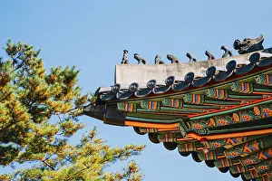 Korean traditional architecture eaves and tree