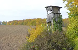 Kraichgau, hunter's lodge in autumn at the edge of the forest