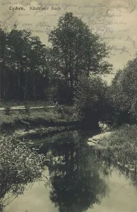 The Kuestriner Bach in Lychen, district of Uckermark in the north of Brandenburg
