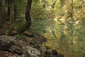 Kupa source, Kupa river, Risnjak National Park