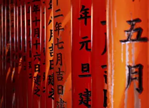 Kyoto, Japan, April 23 2025: Bright red torii gate standing closely together