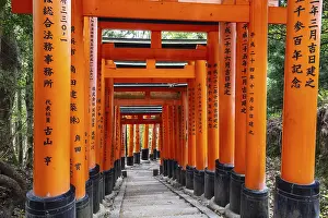 Kyoto, Japan - May 15 2019: Red Tori Gate at Fushimi Inari Shrine in Kyoto