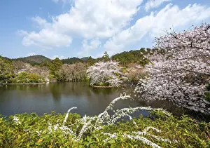 Kyoyochi pond in the Japanese garden