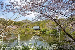 Kyoyochi pond in the Japanese garden