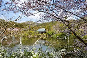 Kyoyochi pond in the Japanese garden