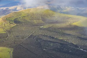 La Geria wine-growing region, Lanzarote