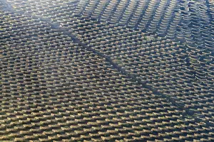 La Geria wine-growing region, Lanzarote