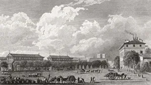La halle aux vins de Paris, antique steel engraved print