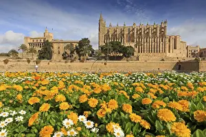La Seu Cathedral, Palma de Majorca