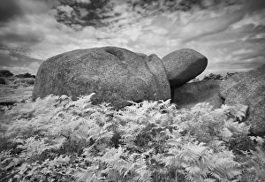La tortue rock formation, turtle