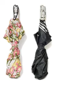 One ladies umbrella with a floral pattern and a black umbrella for men