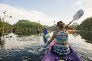 Lagoon, Klong Rud, Klong Nam Sai