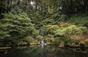 Laid out pond with waterfall in densely overgrown garden